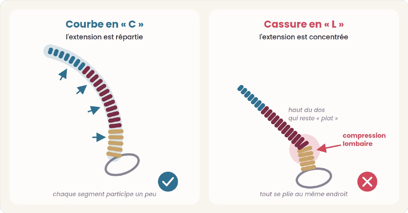 Planche A — Courbe en « C » (extension répartie) et cassure en « L » (extension concentrée dans les lombaires).